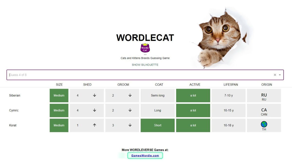 cat wordle game